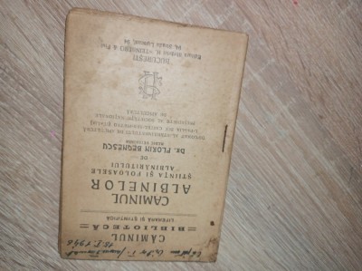 CAMINUL ALBINELOR - FLORIN BENGESCU *** APICULTURA, CCA 1930 foto