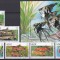DB1 Fauna Marina Pesti 1998 Guineea 6 v. + SS MNH