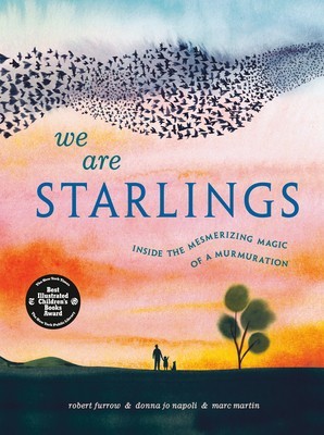 We Are Starlings: Inside the Mesmerizing Magic of a Murmuration foto