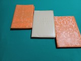 LOT 3 AGENDA PROFESORULUI DIRIGINTE /1989 * NECOMPLETATE * 05