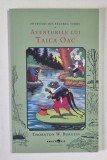 POVESTIRI DIN PADUREA VERDE , AVENTURILE LUI TAICA OAC de THORNTON W. BURGESS , 2025