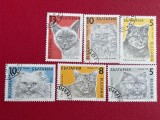 Bulgaria 1989 Rase de Pisici Domestice Fauna Set Complet 6 Timbre Ștampilat Sofia - A301