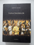 Taina &icirc;ngerilor - Valentin Nicolau, 2009, Nemira