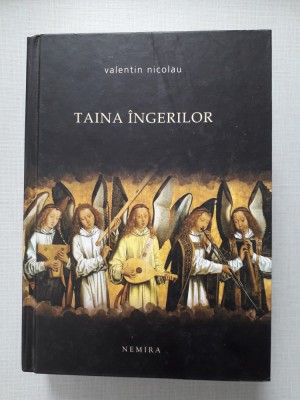 Taina &amp;icirc;ngerilor - Valentin Nicolau foto