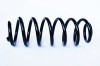 Arc Suspensie Spate 65917 SR.067
