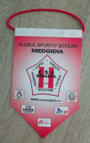 M3 C7 - Tematica cluburi sportive - Club sportiv scolar Medgidia