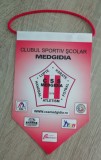 D9 17 - fanion - sport - cluburi sportive - Club sportiv scolar Medgidia