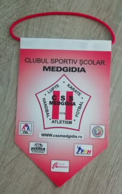 D9 17 - fanion - sport - cluburi sportive - Club sportiv scolar Medgidia foto