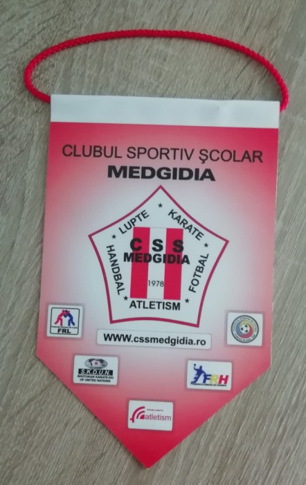 D9 17 - fanion - sport - cluburi sportive - Club sportiv scolar Medgidia