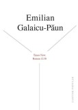 Times New. Roman 12/18 - Paperback brosat - Emilian Galaicu-Păun - Cartier