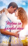 Mereu &icirc;n g&acirc;ndul meu