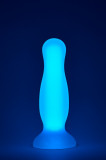 Dop Anal Medium Glow in the Dark, Silicon Moale, Mov, 12.5 cm, DREAM Toys