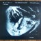 CD The Hilliard Ensemble / Christoph Poppen &ndash; Morimur [J.S. Bach]