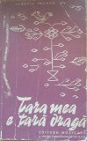 Țara mea e țară dragă - Ludovic Paceag
