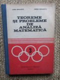 TEOREME SI PROBLEME DE ANALIZA MATEMATICA-SORIN RADULESCU, MARIUS RADULESCU