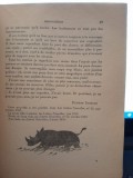 Program Odeon Theatre France 1962-1963: Les rhinocheros - Ionesco. Rene Julliard, Paris, franceza. Teatru