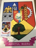 CPIF Stema cu timbru al Judetului Buzau
