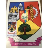 CPIF Stema cu timbru al Judetului Buzau