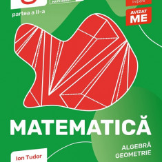 Matematică. Algebră, geometrie. Clasa a VIII-a, partea a II-a. Mate 2000 - Iniţiere