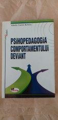 Psihopedagogia comportamentului deviant. foto