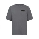 Formula 1 tricou de bărbați Boucle Quiet Shade 2024 - XXL