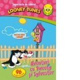 Aventuri cu Tweety si Sylvester. Supercarte de colorat