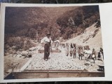 Carte postala,lucrari terasamente calea ferata,cca 1910,necirculata, fotografica, Fotografie