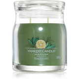 Yankee Candle Sage &amp; Citrus lum&acirc;nare parfumată Signature Signature 368 g