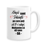 Cana alba personalizata &quot;Nasii sunt parintii pe care poti sa...&quot;, INOVATIX&reg;. 330ml