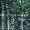 Arboretum America: A Philosophy of the Forest