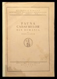rara 1923 FAUNA CADAVRELOR din ROMANIA dr N.Leon brosura, uzata. medicina legala