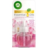 Rezerva odorizant camera electric Air Wick, Magnolia, 19 ml