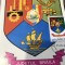 CPIF Stema cu timbru al Judetului Braila