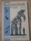 MUZEUL DE ISTORIE NATURALA GR. ANTIPA CALAUZA VIZITATORULUI-COLECTIV-229202