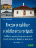 Procedee de reabilitare a cladirilor afectate de igrasie - Karl Prodinger - M.A.S.T
