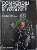 COMPENDIU DE ANATOMIE SI FIZIOLOGIE-GHEORGHE MOGOS, ALEXANDRU IANCULESCU-265432