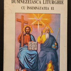 DUMNEZEIASCA LITURGHIE cu INSEMNATATEA EI Prot Nicodim Mandita 695p Buna Vestire