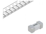 Siguranță Ultra-Rapidă SMD 10A 125V, Littelfuse