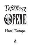 Opere VI. Hotel Europa - Paperback brosat - Dumitru &Aring;&cent;epeneag - Tracus Arte