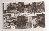 RF170 - Carte Postala - Cluj. Gradina Botanica, circulata 1974