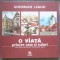 Gheorghe Leahu - O viață printre case și culori (2010)
