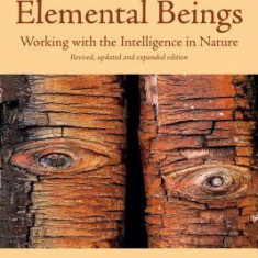 Nature Spirits & Elemental Beings: Working with the Intelligence in Nature