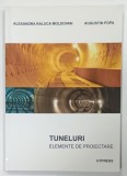 TUNELURI , ELEMENTE DE PROIECTARE de ALEXANDRA RALUCA MOLDOVAN si AUGUSTIN POPA , 2014