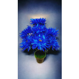 Floare artificială crizantemă albastră