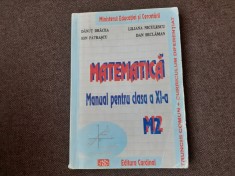 DAN SECLAMAN MATEMATICA MANUYAL PENTRU CLASA A XI M2