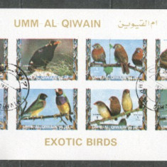 Umm al Qiwain 1973 Exotic birds, mini imperf.sheetlet, used T.023
