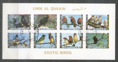 Umm al Qiwain 1973 Exotic birds, mini imperf.sheetlet, used T.023 foto