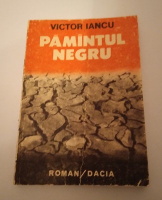 PĂM&amp;Acirc;NTUL NEGRU - VICTOR IANCU foto