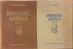 Embriologie animala 2 volume foto