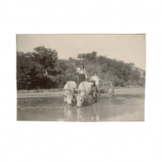 Țărănci cu carul pe râu, fotografie realizată de Alexandru Bellu